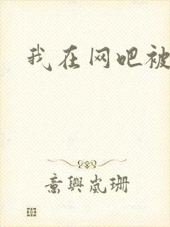 我在网吧被黑人