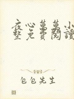 夜心万万小说完整免费阅读全文封面