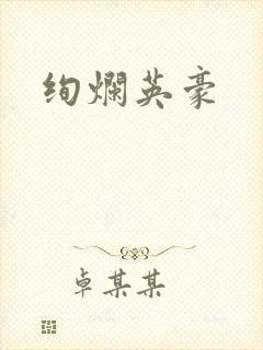 绚烂英豪封面