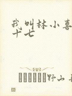 我叫林小喜今年十七