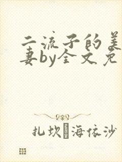 二流子的美貌娇妻by全文免费阅读小说