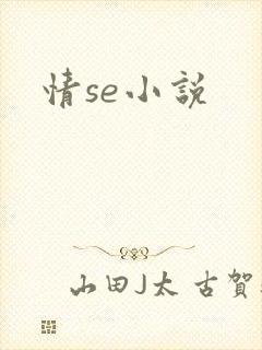 情se小说