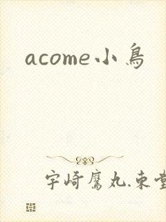 acome小鸟