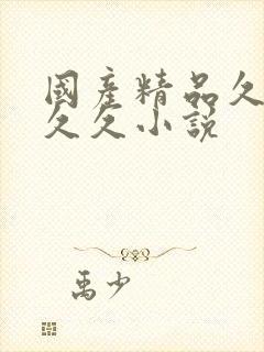 国产精品久久久久久小说