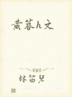 黄蓉h文封面