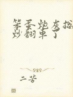 笨蛋炮灰总被爆炒翻车了