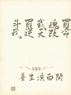 斗罗武魂罗三炮我逆天改命笔趣阁