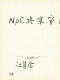NpC共享宝贝
