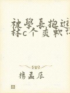 被学长抱进小树林c个爽软件