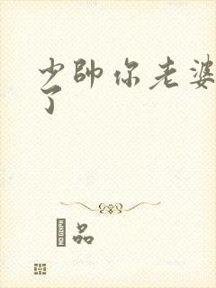 少帅你老婆又跑了