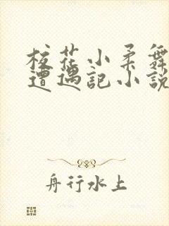 校花小柔舞蹈室遭遇记小说