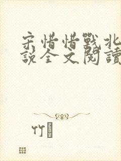 宋惜惜战北望小说全文阅读封面