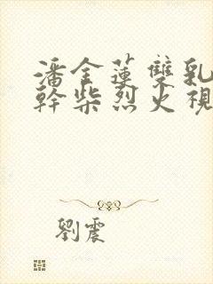 潘金莲双乳晃动干柴烈火视频