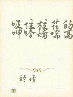 吸住校花的奶头呻吟娇喘高