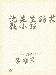 沈先生的花式调教小说