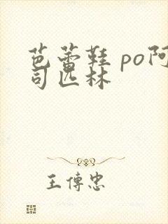 芭蕾鞋 po阿司匹林