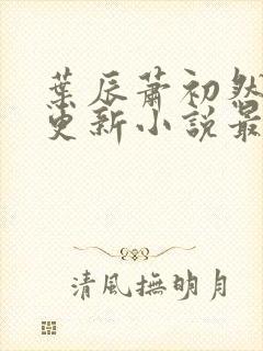 叶辰萧初然最快更新小说最新章节