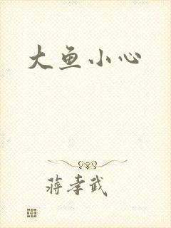 大鱼小心封面