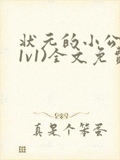 状元的小公主(1v1)全文免费阅读