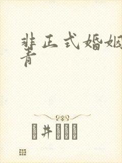 非正式婚姻雾里青封面