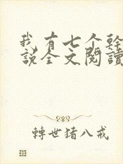 我有七个干妈小说全文阅读封面