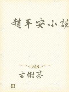 赵平安小说主角