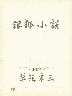银狐小说
