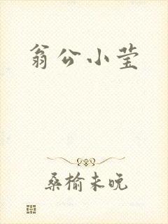 翁公小莹