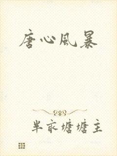 唐心风暴封面
