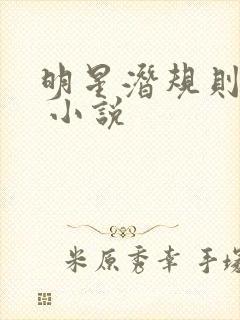 明星潜规则之皇 小说