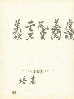 叶子风姜虞雪小说免费阅读