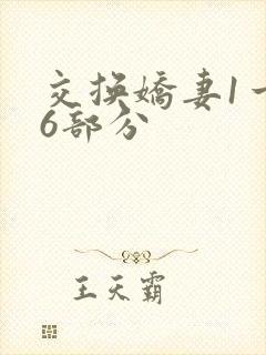 交换娇妻1一36部分