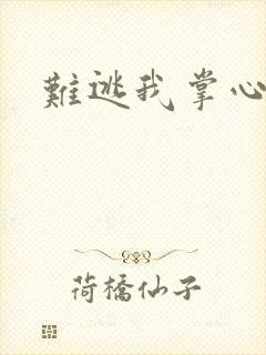 难逃我掌心封面