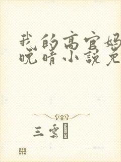 我的高官妈妈苏晚晴小说免费阅读