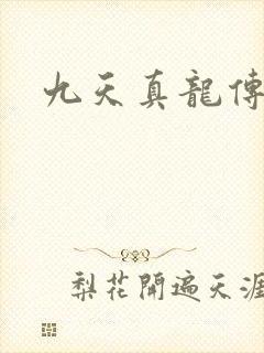九天真龙传