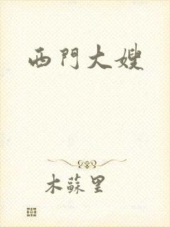 西门大嫂封面