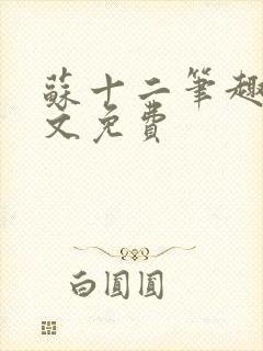 苏十二笔趣阁全文免费