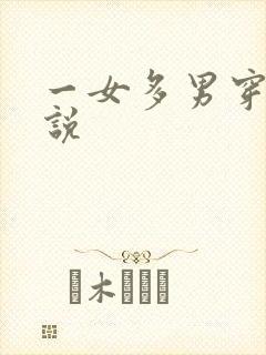 一女多男穿越小说