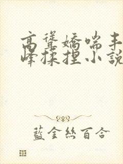 高耸娇喘丰满乳峰揉捏小说