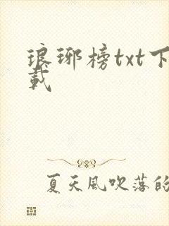 琅琊榜txt下载