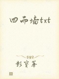 四面墙txt