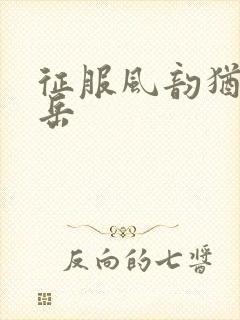 征服风韵犹存的岳封面