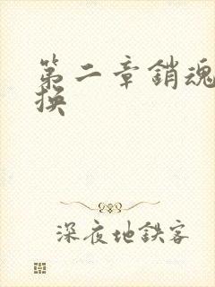 第二章销魂的交换