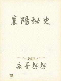 襄阳秘史