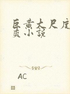 巨黄大尺度全肉爽小说封面