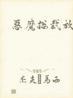 恶魔总裁放了我封面