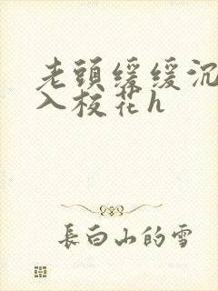 老头缓缓沉腰进入校花h