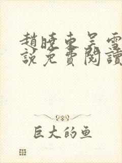 赵晓东吴雪晴小说免费阅读封面