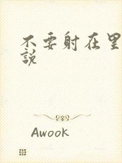 不要射在里面小说