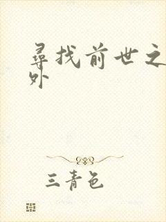 寻找前世之旅番外